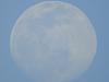 اضغط على الصورة لعرض أكبر. 

الإسم:	DSC00709.jpg 
مشاهدات:	488 
الحجم:	139.4 كيلوبايت 
الهوية:	6886